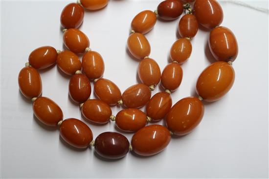 A single strand graduated oval amber bead necklace with 9ct gold clasp, gross weight 62 grams, 60cm.